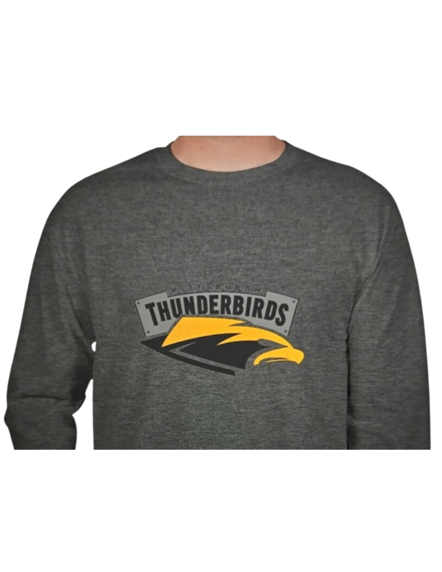 Grey Long Sleeve Shirt